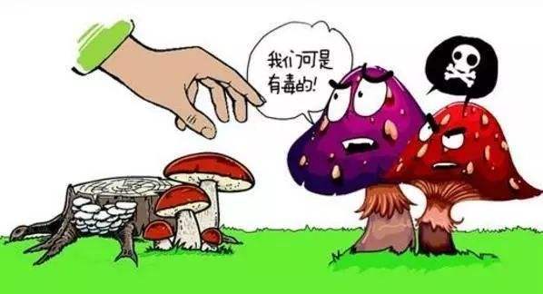 湖南市场研究,湖南市场调查,长沙市太阳人市场咨询服务有限公司 湖南市场研究,湖南市场调查,长沙市太阳人市场咨询服务有限公司