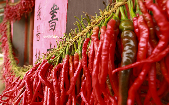 湖南市场研究、湖南市场调研、湖南市场调查